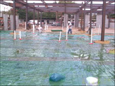 Pre-pour preparations