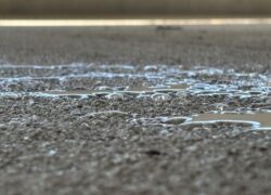 pentreat-244-100-water-repellant-penetrating-sealer
