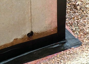 detail-strip-seal-joints-waterproofing